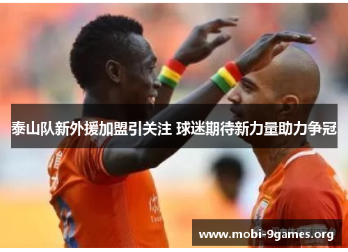 泰山队新外援加盟引关注 球迷期待新力量助力争冠 泰山队新外援加盟引关注 球迷期待新力量助力争冠