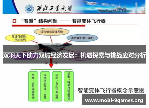 双羽天下助力双城经济发展:机遇探索与挑战应对分析 双羽天下助力双城经济发展:机遇探索与挑战应对分析