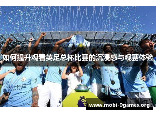 如何提升观看英足总杯比赛的沉浸感与观赛体验 如何提升观看英足总杯比赛的沉浸感与观赛体验