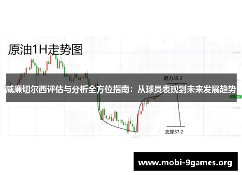威廉切尔西评估与分析全方位指南：从球员表现到未来发展趋势