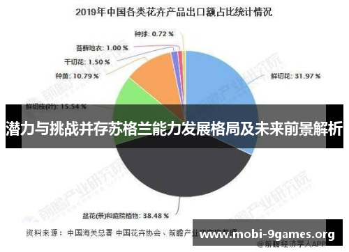 潜力与挑战并存苏格兰能力发展格局及未来前景解析 潜力与挑战并存苏格兰能力发展格局及未来前景解析