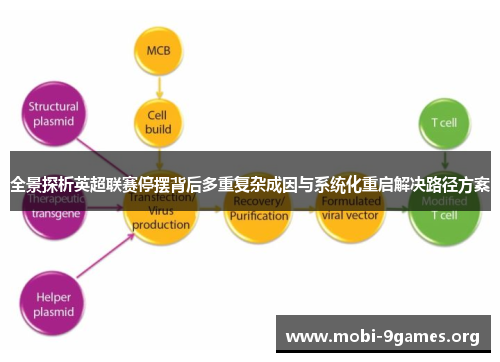 全景探析英超联赛停摆背后多重复杂成因与系统化重启解决路径方案 全景探析英超联赛停摆背后多重复杂成因与系统化重启解决路径方案